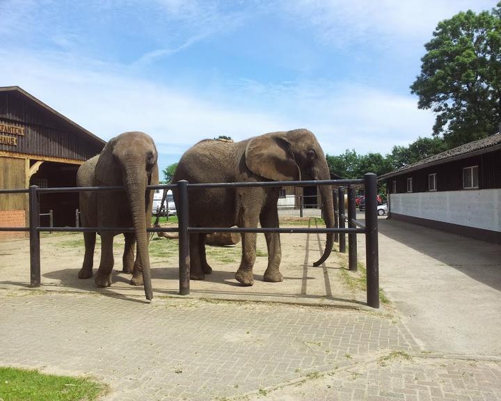 Tierpark-Restaurant